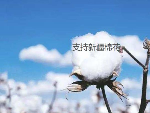 蜜桃视频APP网站入口阀门部门一起支持新疆棉花 蜜桃视频APP网站入口阀门